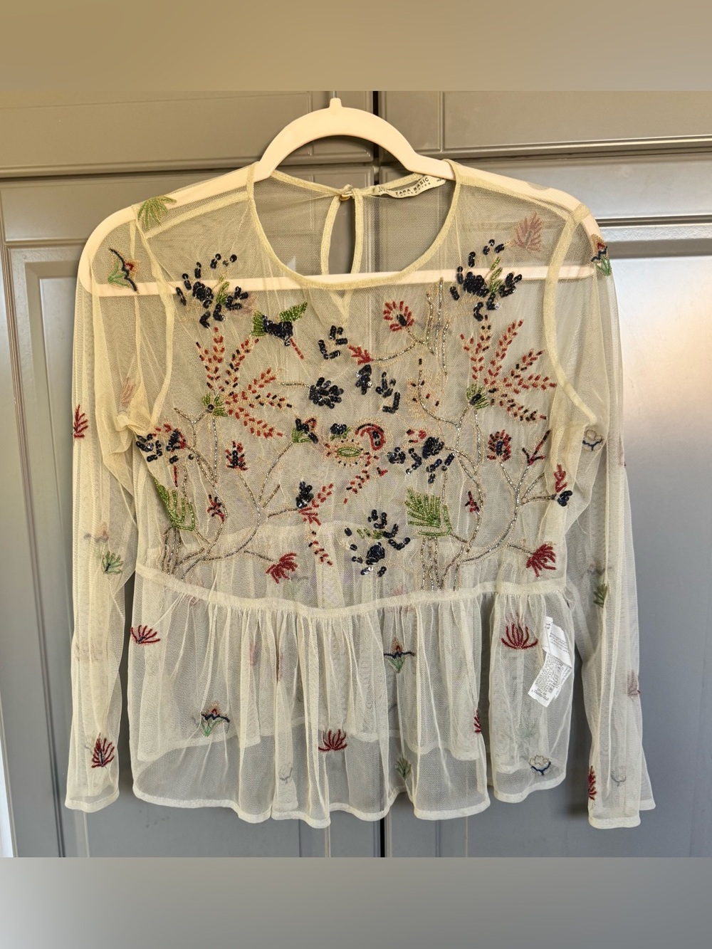 Zara sheer mesh top 
Sz S
